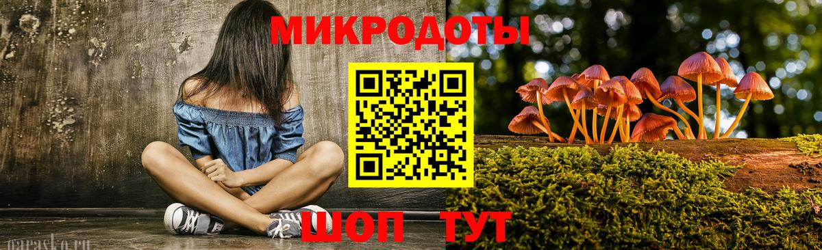 Галлюциногенные грибы Psilocybine cubensis  Вход с VPN  Псилоцибиновые грибы мухоморы  Майкоп 